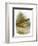 Quail-English-Framed Premium Giclee Print