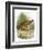 Quail-English-Framed Giclee Print