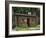 Quaint Log Cabin with Stone Chimney, Fort Boonesborough, Kentucky, USA-Dennis Flaherty-Framed Photographic Print