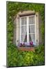 Quaint window, Cluny, Maconnaise, France-Lisa S. Engelbrecht-Mounted Photographic Print