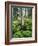 Quaking Aspen and Cow Parsnip, White River National Forest, Colorado, USA-Adam Jones-Framed Photographic Print