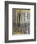 Quaking Aspen in Fall, Rocky Mountain National Park, Colorado, USA-Rolf Nussbaumer-Framed Photographic Print