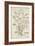 Quamoclit Pinnata Boj, 1800-10-null-Framed Giclee Print