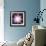 Quantised Orbits of the Planets-Mehau Kulyk-Framed Premium Photographic Print displayed on a wall