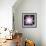 Quantised Orbits of the Planets-Mehau Kulyk-Framed Premium Photographic Print displayed on a wall