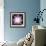 Quantised Orbits of the Planets-Mehau Kulyk-Framed Premium Photographic Print displayed on a wall