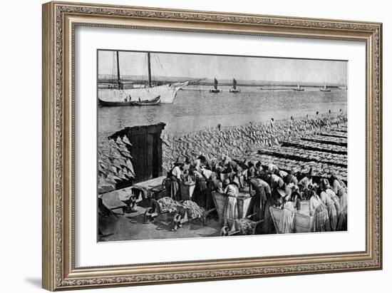 Quantities of Codfish Drying in the Sun at Aveiro by the Mouth of the Vouga, Portugal, C1930S-AW Cutler-Framed Giclee Print