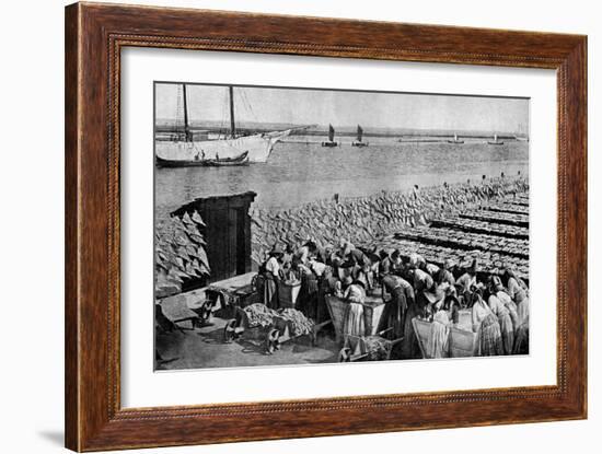 Quantities of Codfish Drying in the Sun at Aveiro by the Mouth of the Vouga, Portugal, C1930S-AW Cutler-Framed Giclee Print