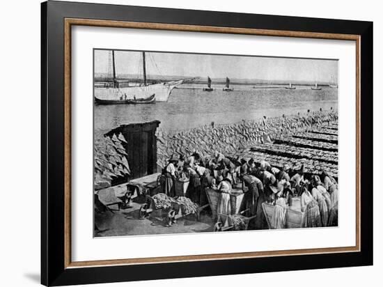 Quantities of Codfish Drying in the Sun at Aveiro by the Mouth of the Vouga, Portugal, C1930S-AW Cutler-Framed Giclee Print