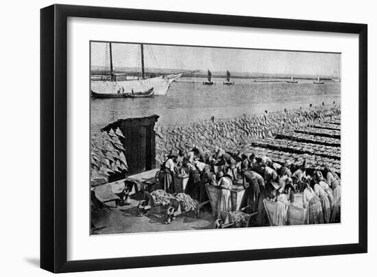 Quantities of Codfish Drying in the Sun at Aveiro by the Mouth of the Vouga, Portugal, C1930S-AW Cutler-Framed Giclee Print