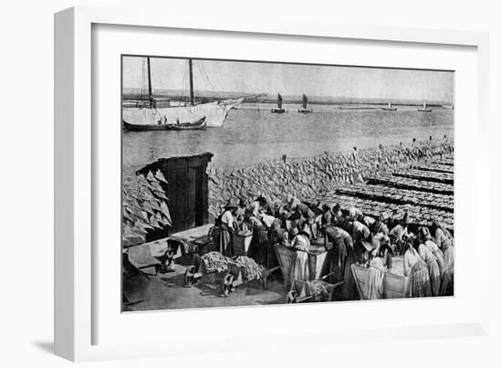 Quantities of Codfish Drying in the Sun at Aveiro by the Mouth of the Vouga, Portugal, C1930S-AW Cutler-Framed Giclee Print