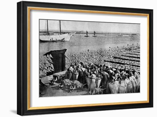 Quantities of Codfish Drying in the Sun at Aveiro by the Mouth of the Vouga, Portugal, C1930S-AW Cutler-Framed Giclee Print