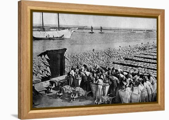 Quantities of Codfish Drying in the Sun at Aveiro by the Mouth of the Vouga, Portugal, C1930S-AW Cutler-Framed Premier Image Canvas