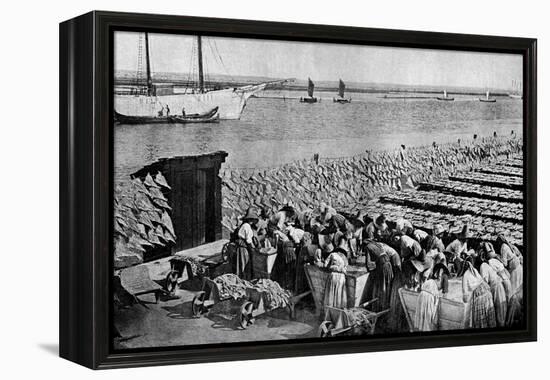 Quantities of Codfish Drying in the Sun at Aveiro by the Mouth of the Vouga, Portugal, C1930S-AW Cutler-Framed Premier Image Canvas