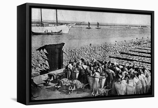Quantities of Codfish Drying in the Sun at Aveiro by the Mouth of the Vouga, Portugal, C1930S-AW Cutler-Framed Premier Image Canvas