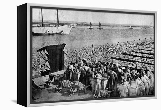 Quantities of Codfish Drying in the Sun at Aveiro by the Mouth of the Vouga, Portugal, C1930S-AW Cutler-Framed Premier Image Canvas