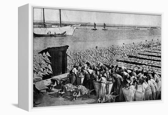 Quantities of Codfish Drying in the Sun at Aveiro by the Mouth of the Vouga, Portugal, C1930S-AW Cutler-Framed Premier Image Canvas