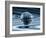 Quantum Computing-Mehau Kulyk-Framed Photographic Print