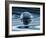 Quantum Computing-Mehau Kulyk-Framed Photographic Print