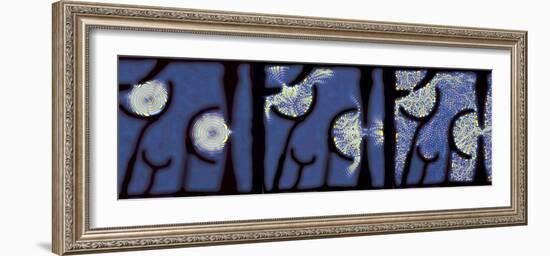 Quantum Resonance-Eric Heller-Framed Premium Photographic Print