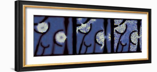 Quantum Resonance-Eric Heller-Framed Premium Photographic Print