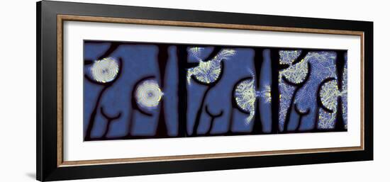 Quantum Resonance-Eric Heller-Framed Photographic Print