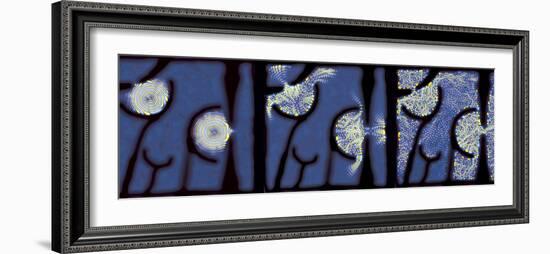 Quantum Resonance-Eric Heller-Framed Photographic Print