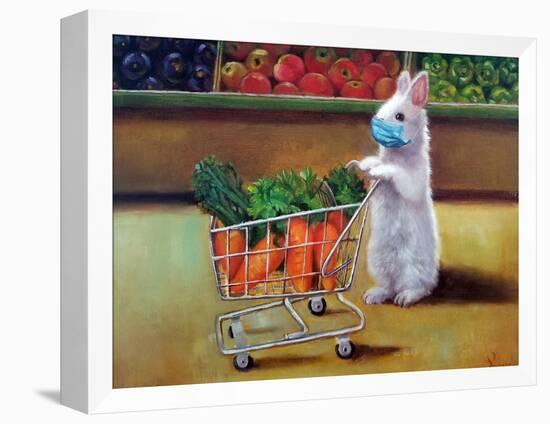 Quarantine Shopping-Lucia Heffernan-Framed Stretched Canvas