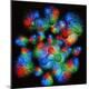 Premium Photographic Print
