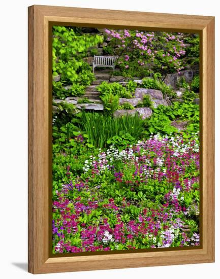 Quarry Garden, Wilmington, Delaware, USA, Deleware-Jay O'brien-Framed Premier Image Canvas