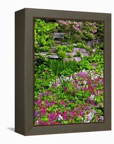 Quarry Garden, Wilmington, Delaware, USA, Deleware-Jay O'brien-Framed Premier Image Canvas