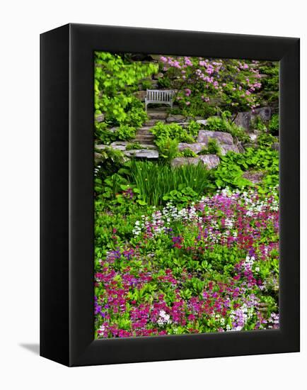 Quarry Garden, Wilmington, Delaware, USA, Deleware-Jay O'brien-Framed Premier Image Canvas