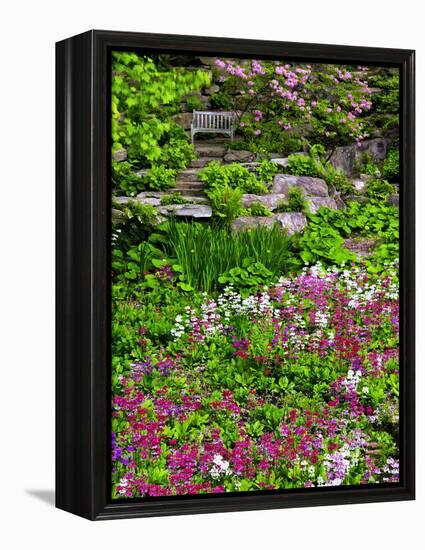 Quarry Garden, Wilmington, Delaware, USA, Deleware-Jay O'brien-Framed Premier Image Canvas