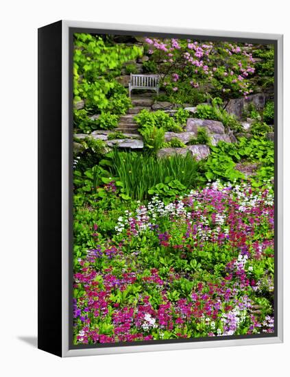 Quarry Garden, Wilmington, Delaware, USA, Deleware-Jay O'brien-Framed Premier Image Canvas