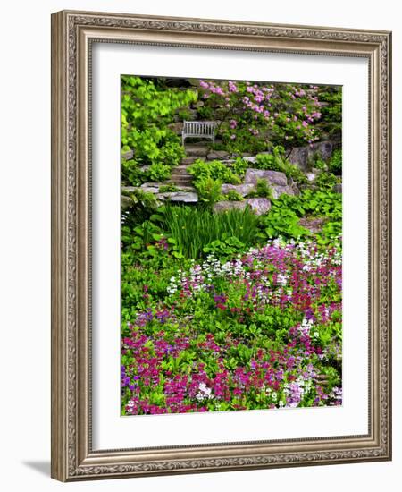 Quarry Garden, Wilmington, Delaware, USA, Deleware-Jay O'brien-Framed Photographic Print