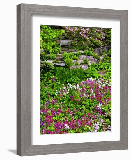 Quarry Garden, Wilmington, Delaware, USA, Deleware-Jay O'brien-Framed Photographic Print