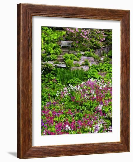 Quarry Garden, Wilmington, Delaware, USA, Deleware-Jay O'brien-Framed Photographic Print