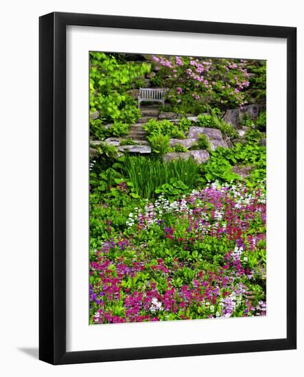 Quarry Garden, Wilmington, Delaware, USA, Deleware-Jay O'brien-Framed Photographic Print