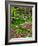 Quarry Garden, Wilmington, Delaware, USA, Deleware-Jay O'brien-Framed Photographic Print