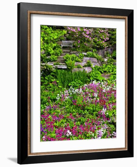 Quarry Garden, Wilmington, Delaware, USA, Deleware-Jay O'brien-Framed Photographic Print