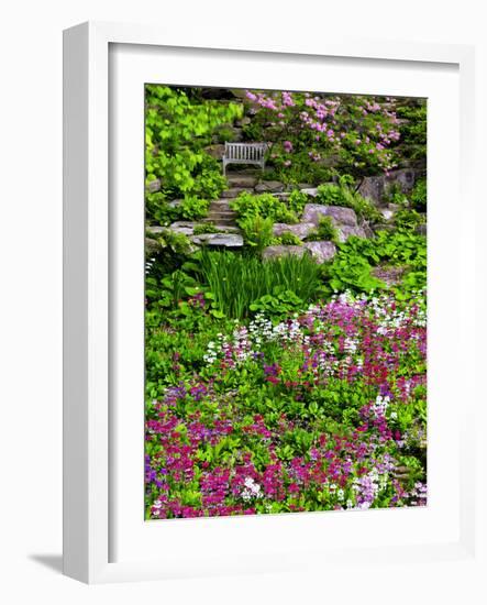 Quarry Garden, Wilmington, Delaware, USA, Deleware-Jay O'brien-Framed Photographic Print