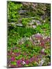 Quarry Garden, Wilmington, Delaware, USA, Deleware-Jay O'brien-Mounted Photographic Print