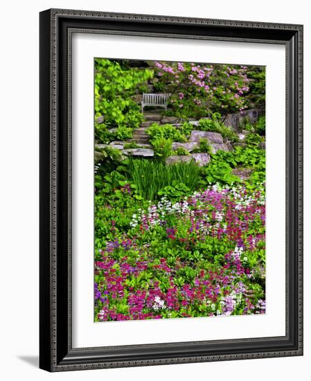 Quarry Garden, Wilmington, Delaware, USA, Deleware-Jay O'brien-Framed Photographic Print