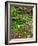 Quarry Garden, Wilmington, Delaware, USA, Deleware-Jay O'brien-Framed Photographic Print