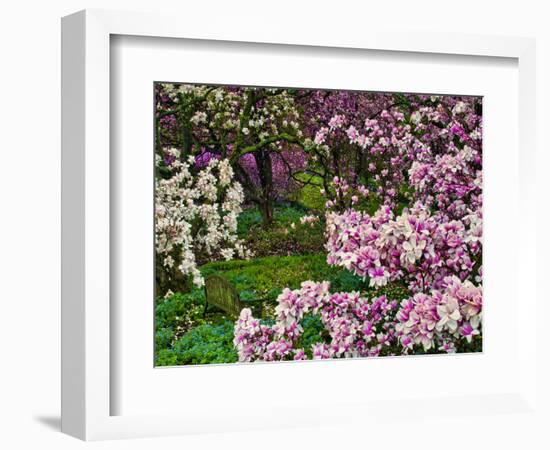 Quarry Garden, Wilmington, Delaware, USA, Deleware-Jay O'brien-Framed Photographic Print