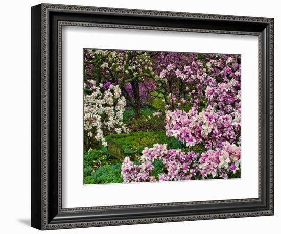 Quarry Garden, Wilmington, Delaware, USA, Deleware-Jay O'brien-Framed Photographic Print