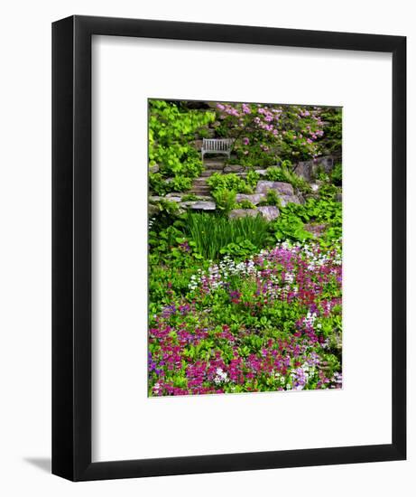 Quarry Garden, Wilmington, Delaware, USA, Deleware-Jay O'brien-Framed Photographic Print