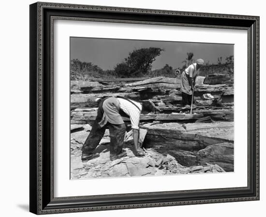 Quarrying Slate by Hand at Trebarwith Slate Quarry, Cornwall, 1959-Michael Walters-Framed Photographic Print