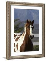 Quarter 021-Bob Langrish-Framed Photographic Print