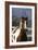 Quarter 021-Bob Langrish-Framed Photographic Print